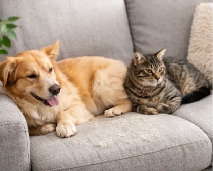 Brosse Vapeur 3 en 1 pour Chiens & Chats