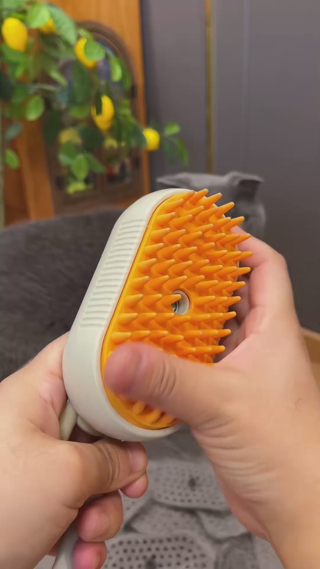 Charger la vidéo : 